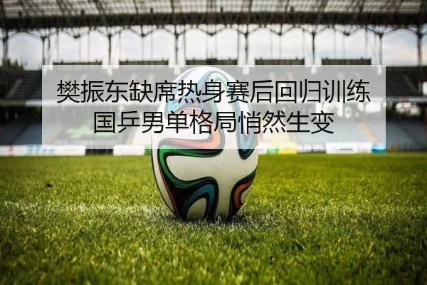 樊振东缺席热身赛后回归训练 国乒男单格局悄然生变